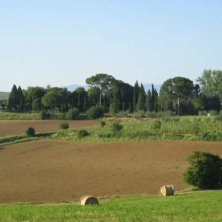 Zurli Cortona